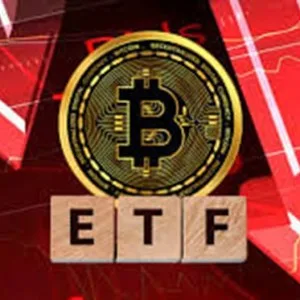 Bitcoin Spot ETFs See Largest Outflows in Months Amid Market Selloff