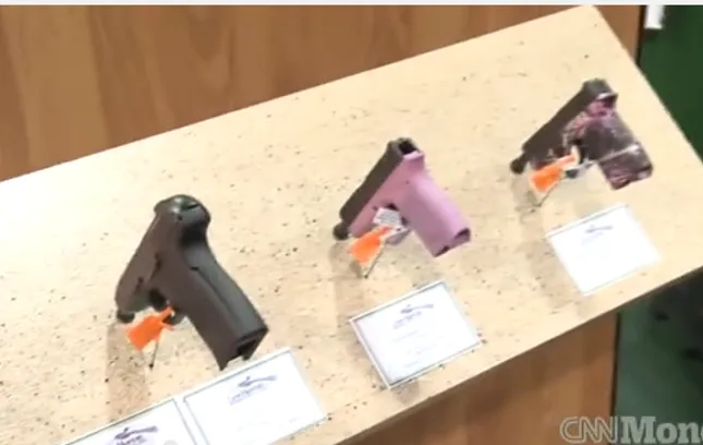 Civil Rights Group Challenges Illinois Gun Purchase Licensing Under Second Amendment