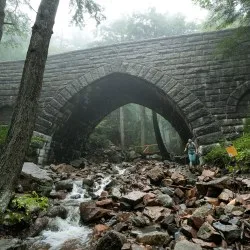 Climate Change Silences Songbirds in Acadia National Park’s Forests