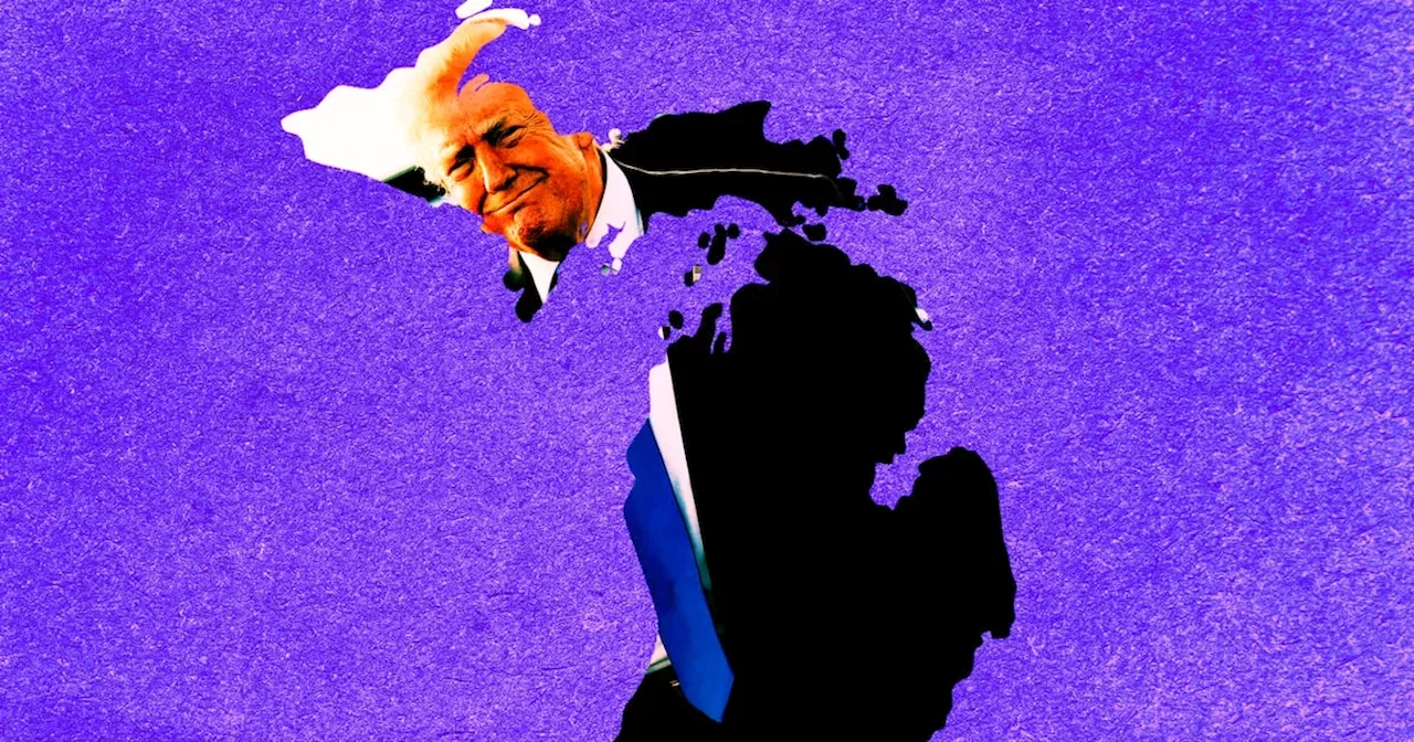 Democrats Face Crucial Test in Michigan Special Election as Trump's Sway Looms