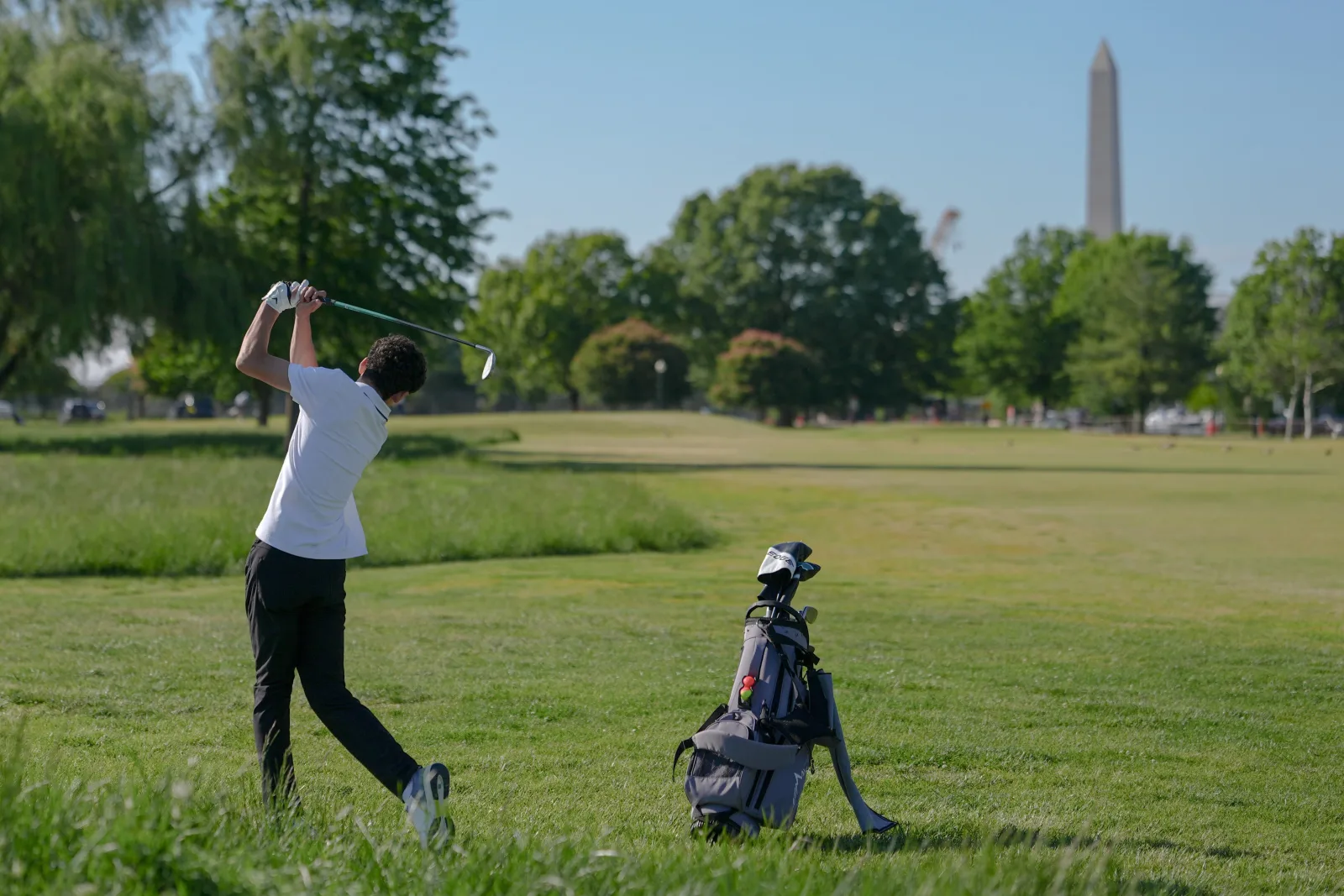 Federal Judge Blocks Tree Removal at Trump's Washington Golf Course Without Notice
