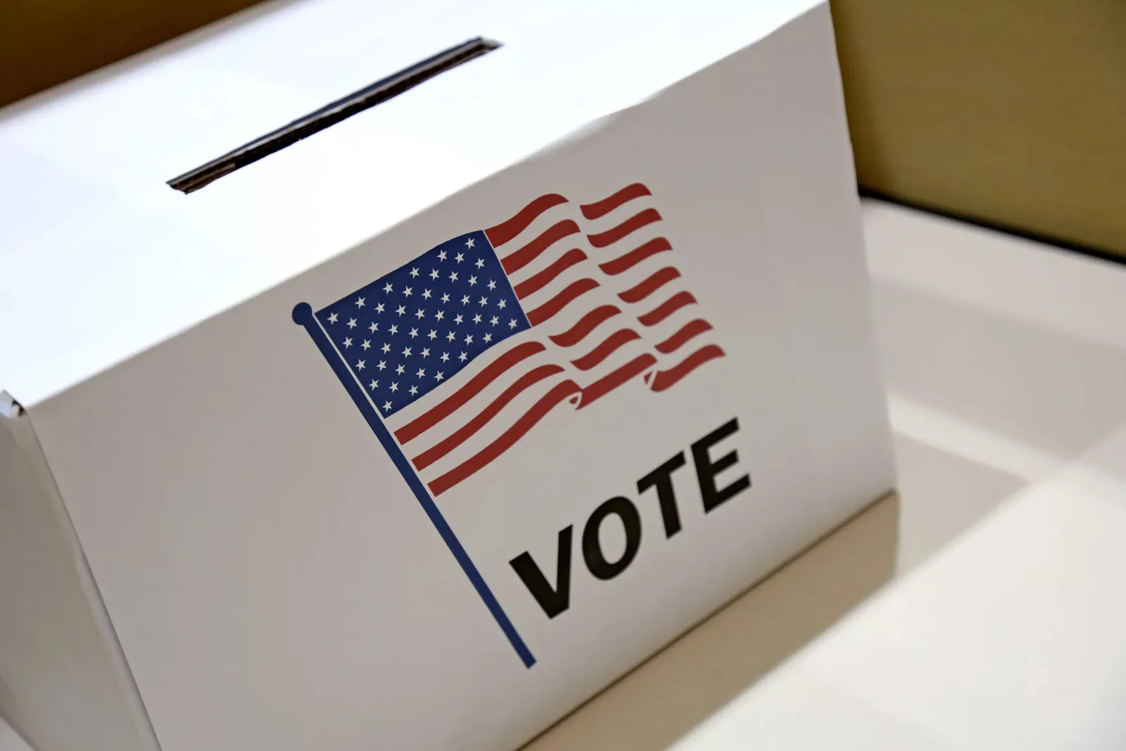 Florida Voters Oppose Partisan Gerrymandering, but Republican Maps Advance Anyway