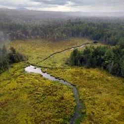 Maine Advocates Urge State to Enforce Climate Goals Through Legislation