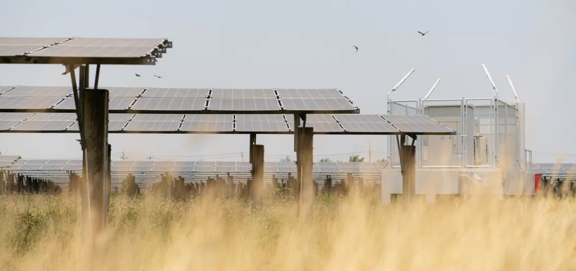 NextEra Energy to Build 3,000 MW of Solar Capacity for Arizona Utility SRP