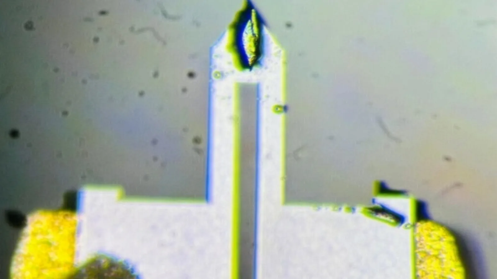 Scientists Uncover Mechanism Behind Uranium-Based Superconductor’s Return at Extreme Magnetic Fields