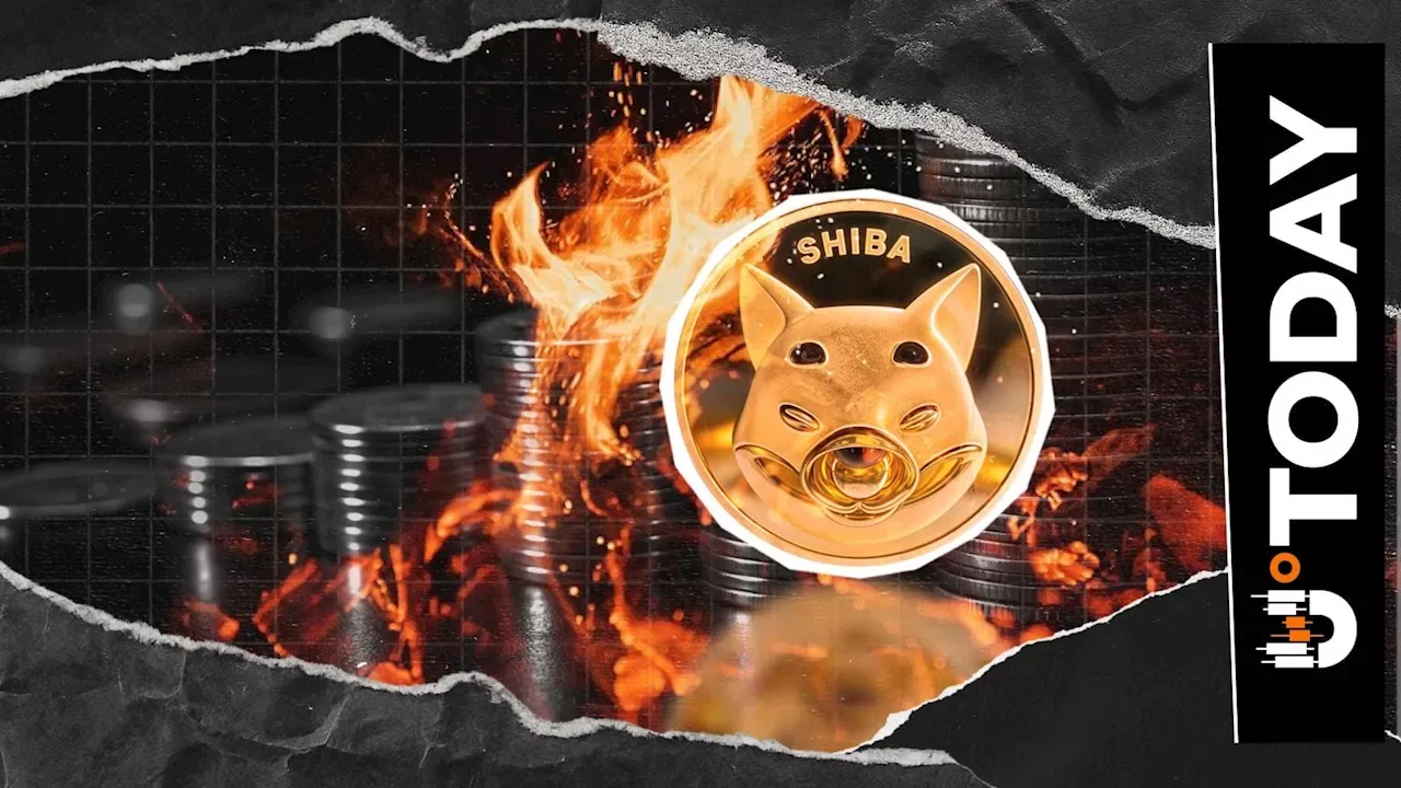 Shiba Inu Token Burn Rate Jumps 812% Amid Network Activity Surge