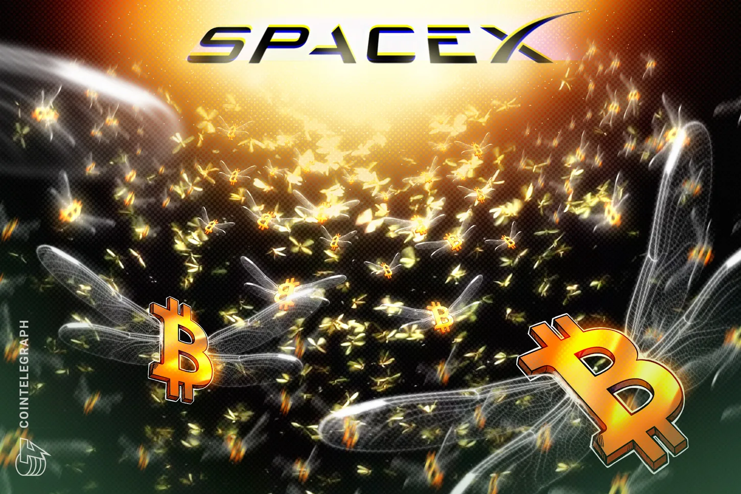 SpaceX Discloses Bitcoin Holdings Far Larger Than Previously Estimated Ahead of IPO