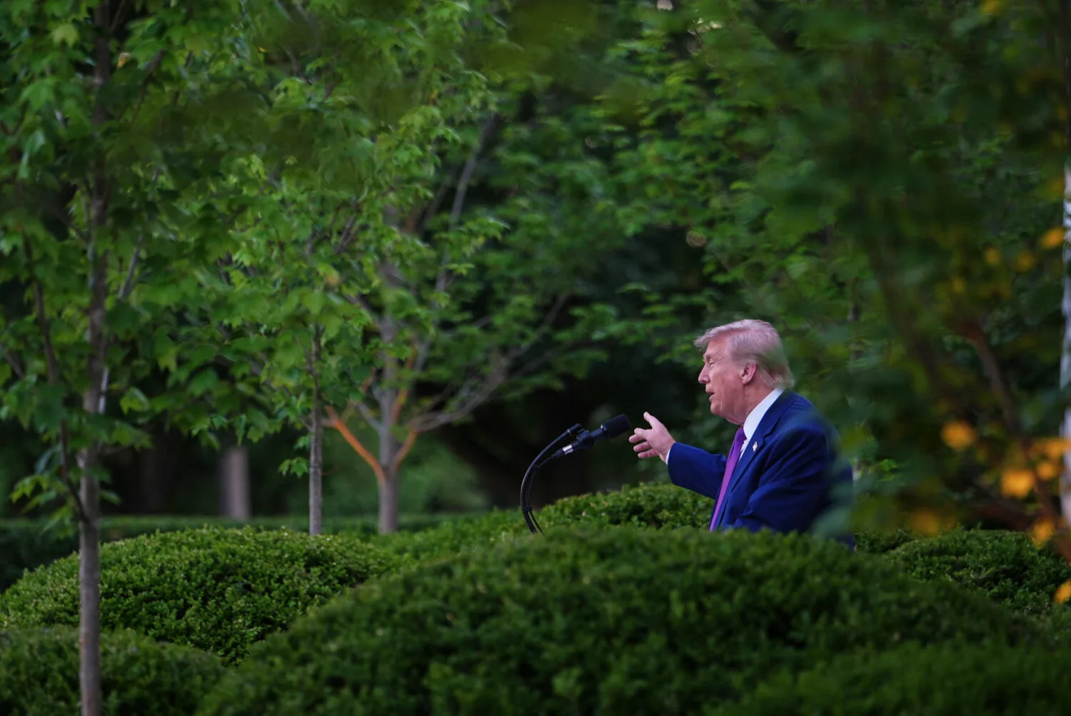 Trump and Xi Seek to Manage Iran Conflict Amid China Summit Ahead
