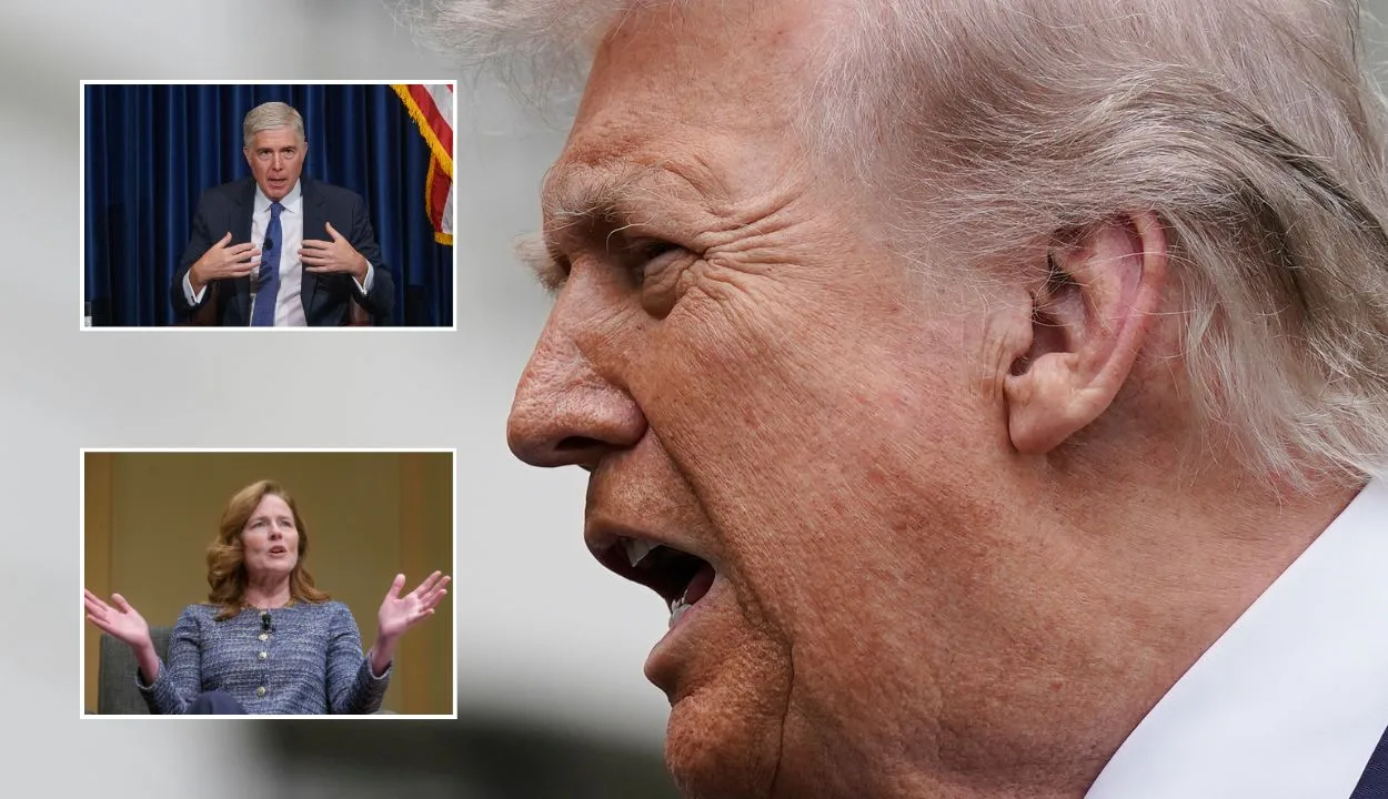 Trump Criticizes Supreme Court Justices Over Tariff Ruling, Highlights Division Among His Appointees