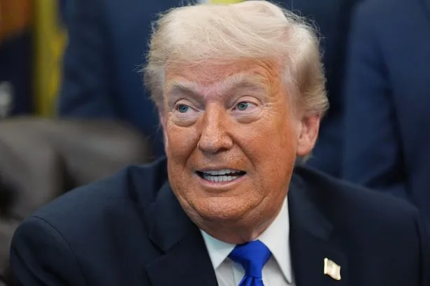Trump Interrupted by Bee During White House Interview on Iran