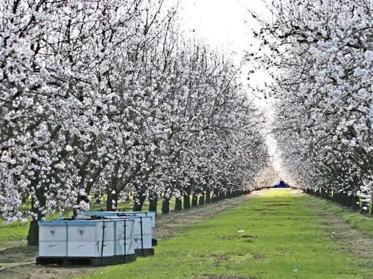 Two Turlock Representatives Back Farm Bill in Narrow House Vote