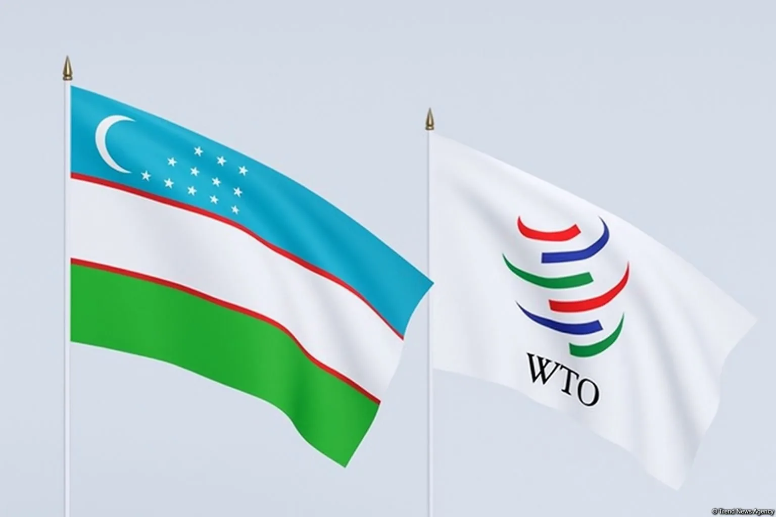 Uzbekistan Advances WTO Accession with Major Trade Commitments and Legal Reforms