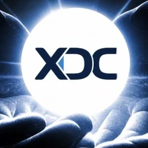 XDC Altcoin Surpasses Bitcoin in Popularity Amid Trade Finance Blockchain Momentum