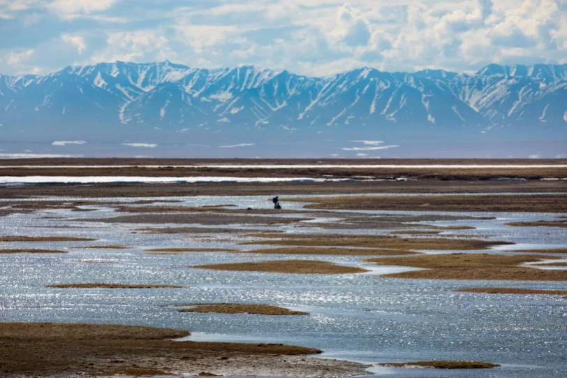 Arctic National Wildlife Refuge Lease Sale Attracts Limited Bids, Major Oil Firms Absent