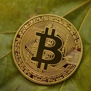 Bitcoin’s Cycle Bottom Expected in Late 2026, Analysts Suggest