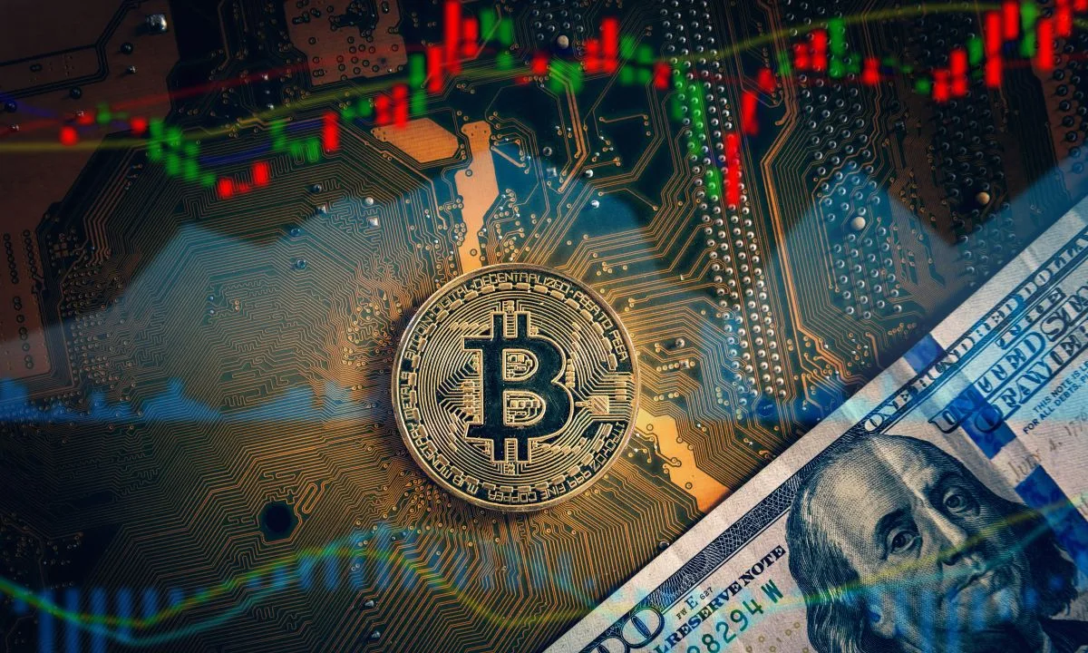 Digital Asset Treasury Stocks Decline More Sharply Than Bitcoin Amid Market Volatility