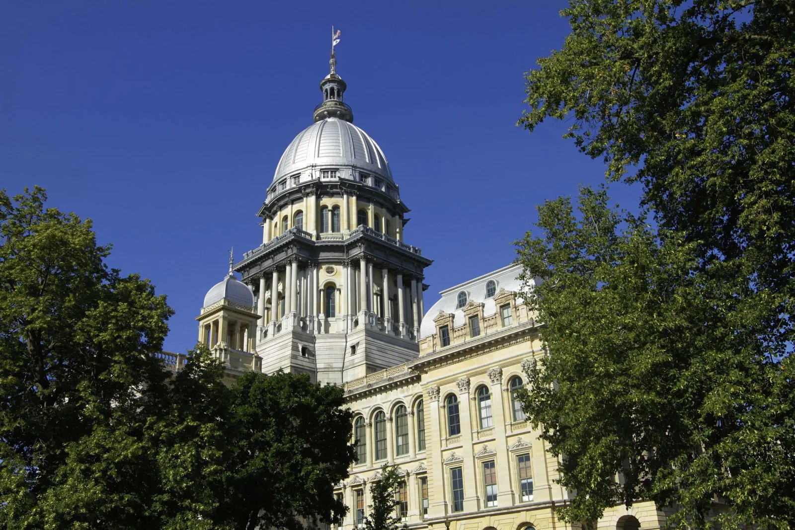 Illinois Passes Major Reform to Return Property Equity to Tax-foreclosed Homeowners