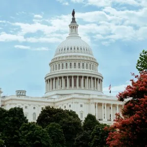 Over 200 Crypto Groups Demand Senate Vote on CLARITY Act to Define Market Rules