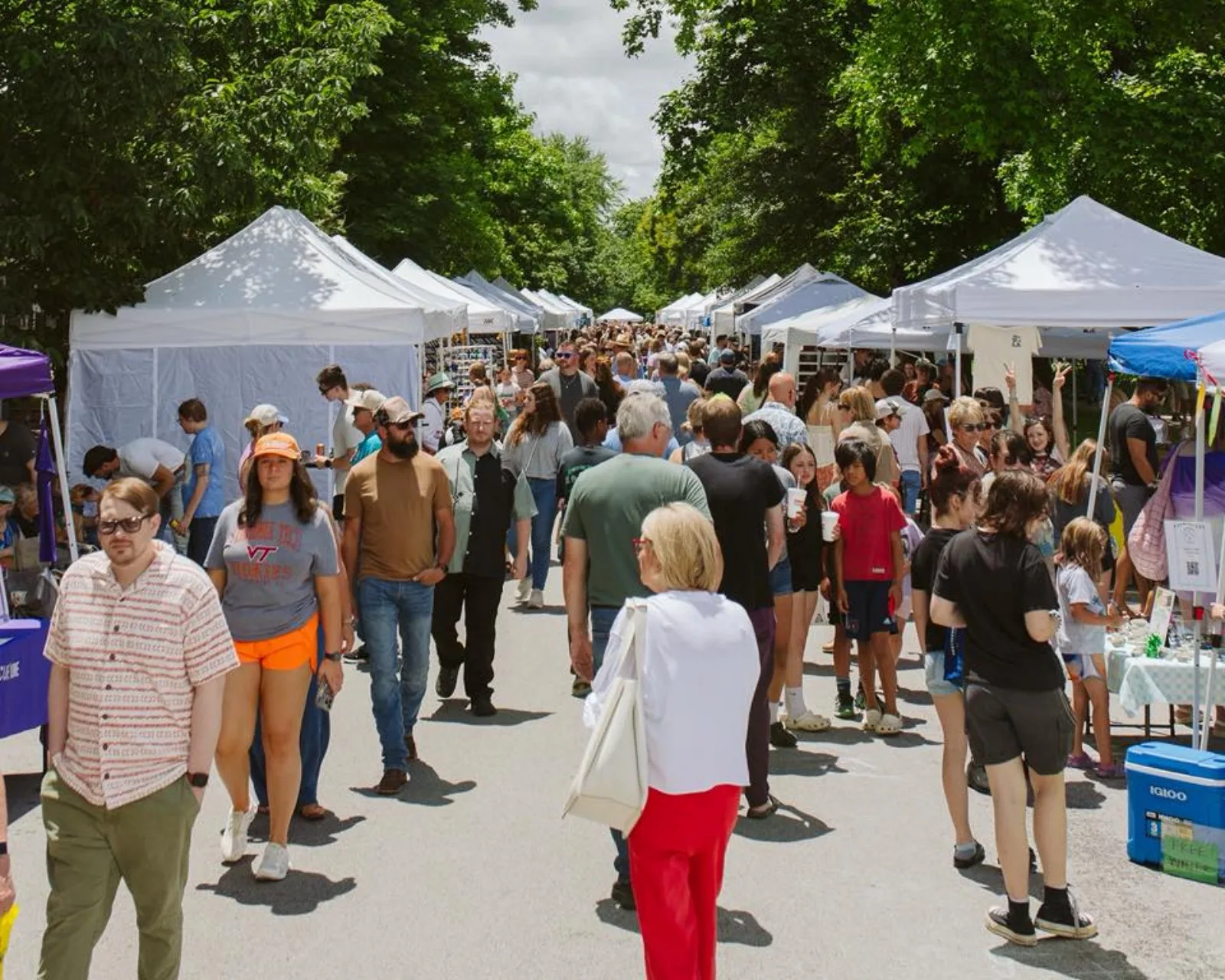 Pickwick Street Fair Expands with 80 Artists, Live Music, and Kids Zone on June 6