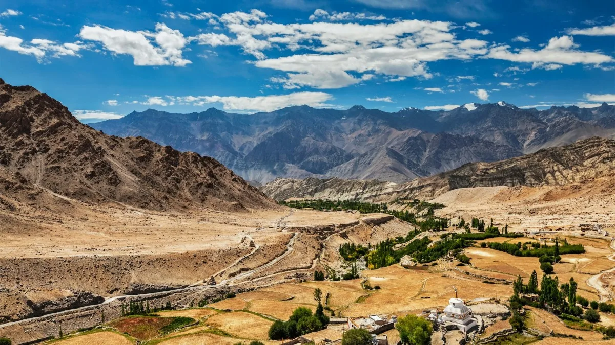 Regional Leaders Push for Closer Trade with Taliban-Led Afghanistan Despite EU Resistance