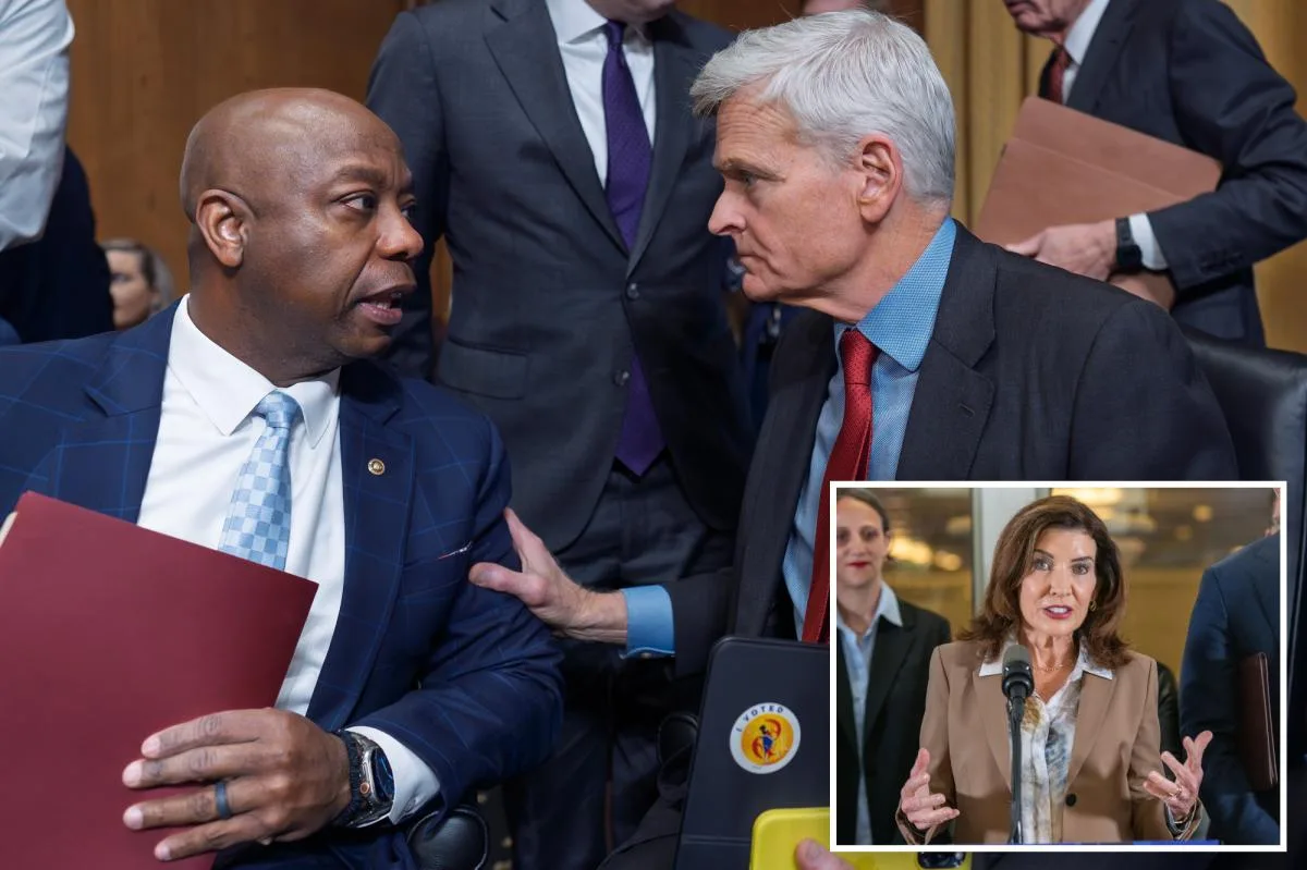 Republican Senators Investigate Up to $666 Million in New York Unemployment Fraud