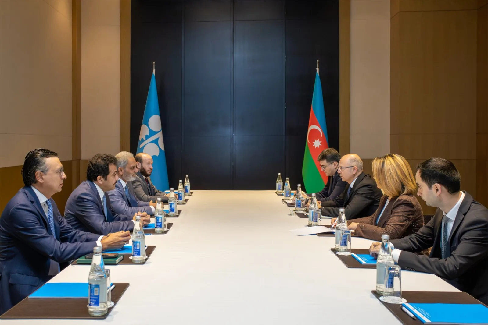 Azerbaijan and OPEC Secretary General Discuss Strengthening Energy Cooperation in Baku