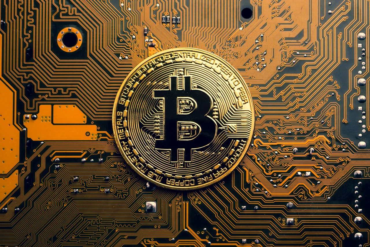Bitcoin Nears Bear Market Bottom as Long-Term Holders Absorb Majority of Losses