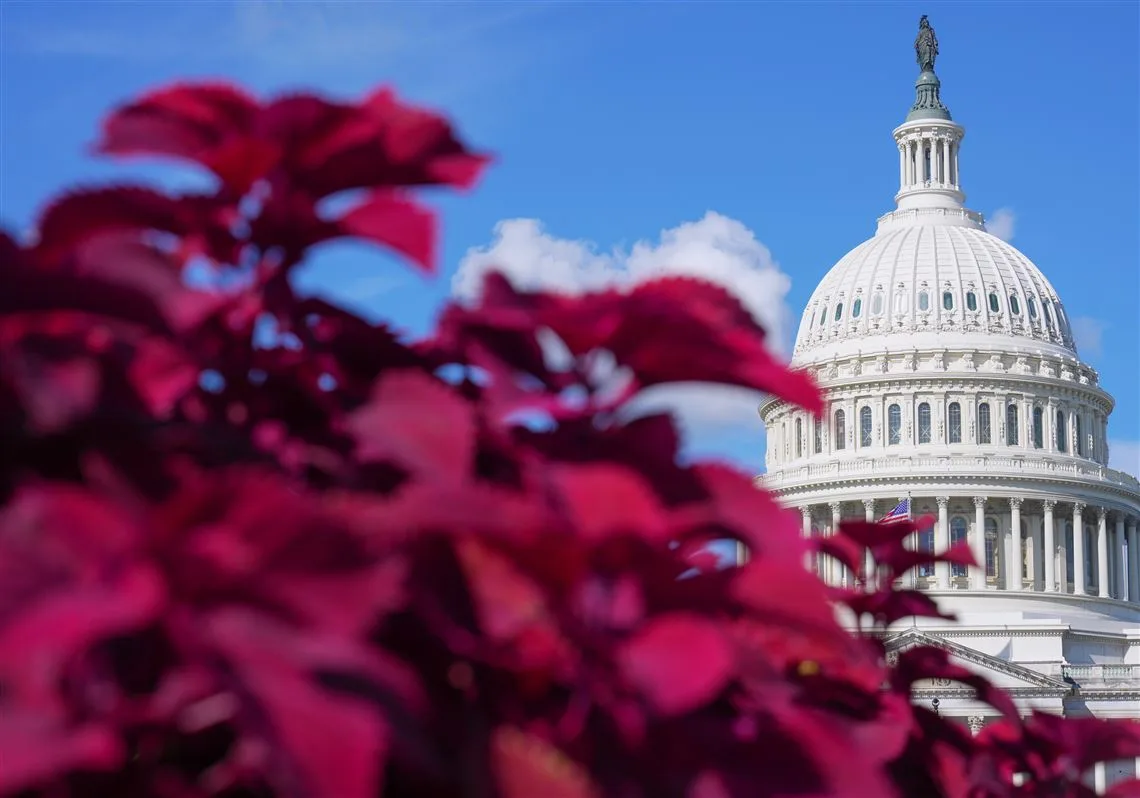 Senate Prepares Vote on War Powers Resolution Amid Rising Gas Prices and Midterm Pressure