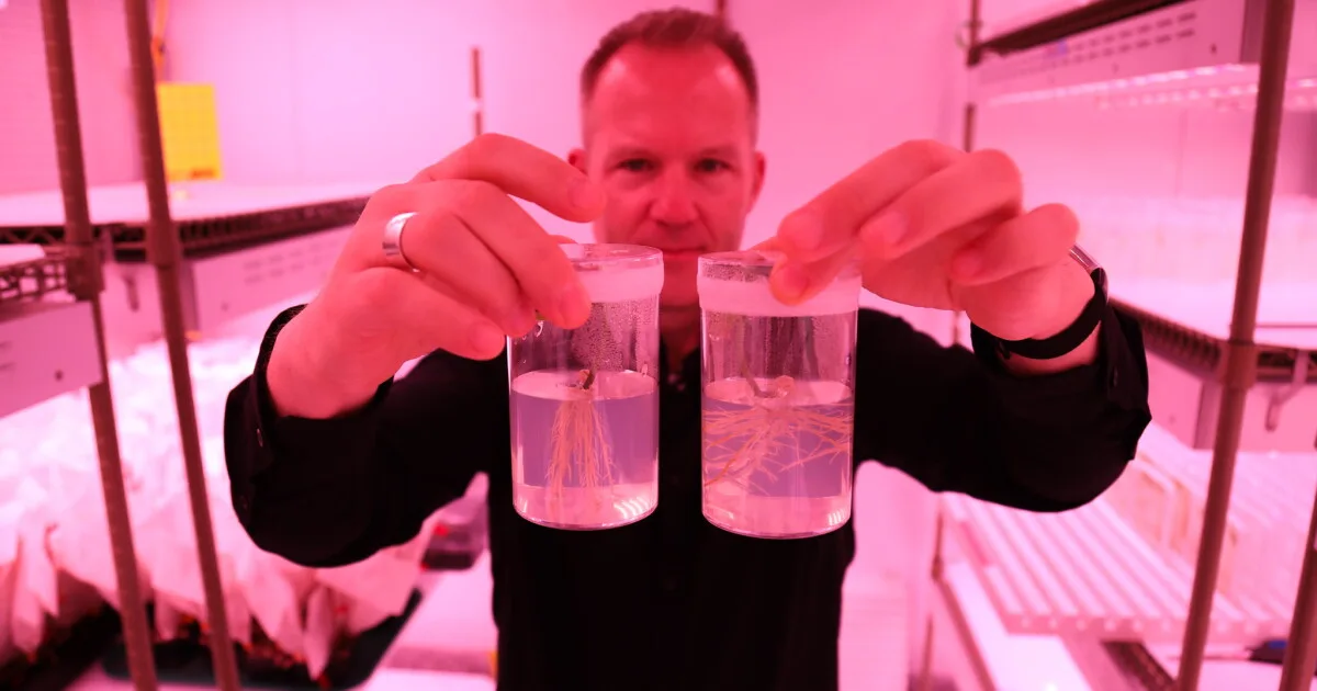 AI Advances Could Accelerate Plant-Based Carbon Capture Methods